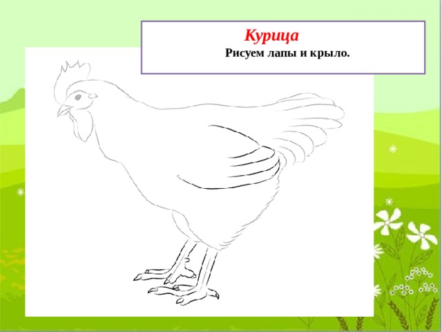  Курица Рисуем лапы и крыло.  