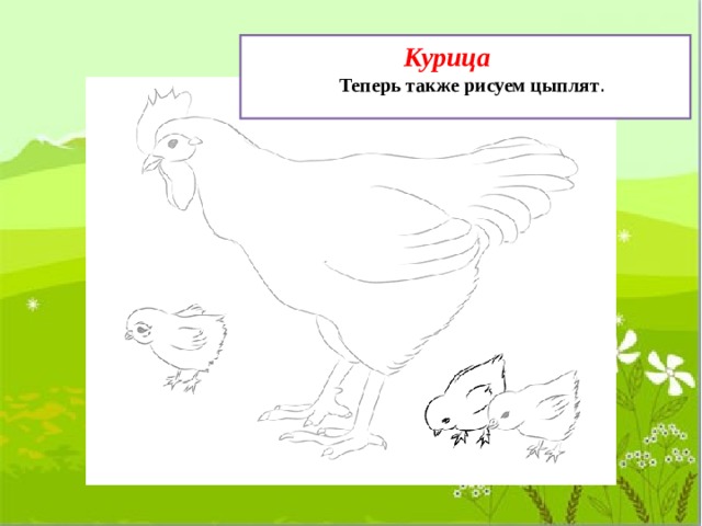  Курица Теперь также рисуем цыплят . 