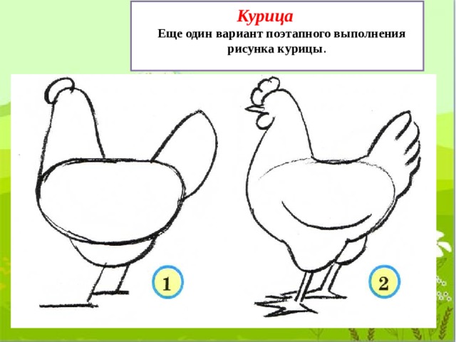  Курица Еще один вариант поэтапного выполнения рисунка курицы . 