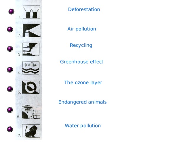 Deforestation Air pollution Recycling Greenhouse effect The ozone layer Endangered animals Water pollution 