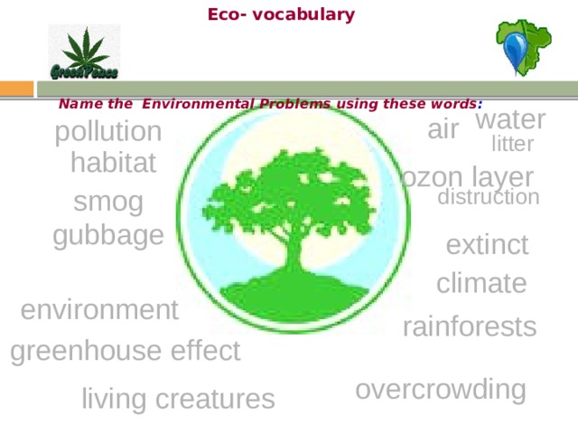 Eco- vocabulary  Name the Environmental Problems using these words : water air pollution litter habitat ozon layer smog distruction gubbage extinct climate environment rainforests greenhouse effect overcrowding living creatures 