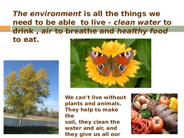 The environment is all the things we need to be able to live - clean water to drink , air to breathe and healthy food to eat.    We can’t live without plants and animals. They help to make the soil, they clean the water and air, and they give us all our food. 