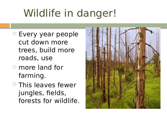 Wildlife in danger! Every year people cut down more trees, build more roads, use more land for farming. This leaves fewer jungles, fields, forests for wildlife. 