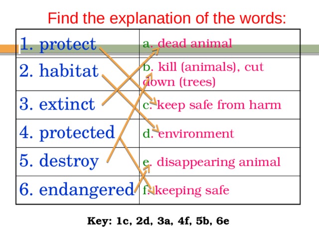 Find the explanation of the words: 1. protect 2. habitat a . dead animal 3. extinct b . kill (animals), cut down (trees) 4. protected c . keep safe from harm d . environment 5. destroy 6. endangered e . disappearing animal f . keeping safe Key: 1c, 2d, 3a, 4f, 5b, 6e 