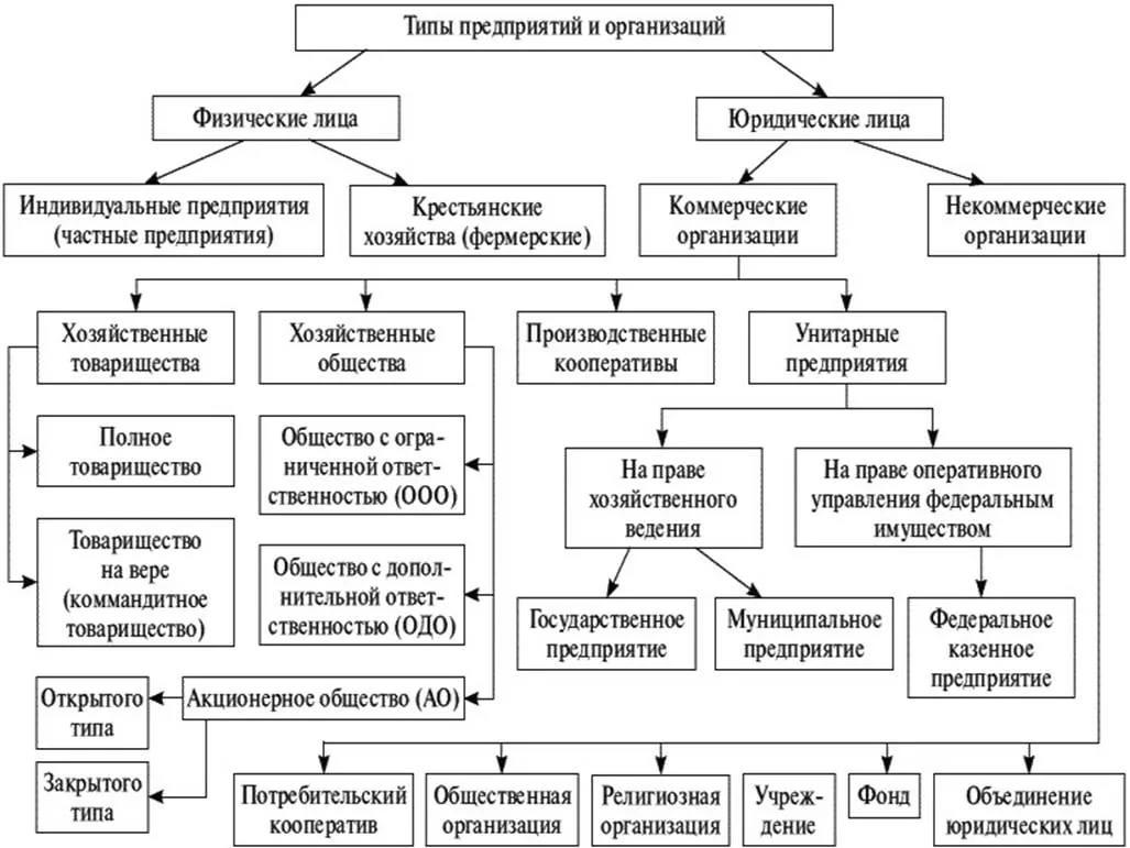 Конспект схему на тему организационно правовые формы юридических лиц в российской федерации