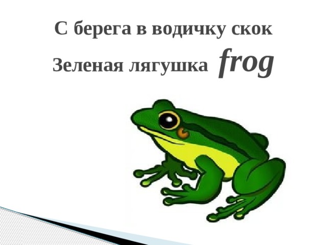 Лягушка на английском. Лягушка по английскому. Жаба по английски. Карточки по английскому жаба. Лягушка на английском языке с транскрипцией.