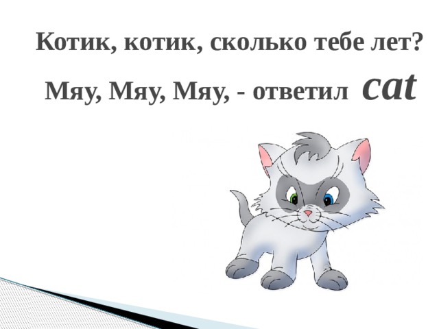 Мяу 1 2 3 мяу спасибо переводчик. Кот по английски. Мяу стишок. Стихи про мяу мяу. Как по английски кошка.