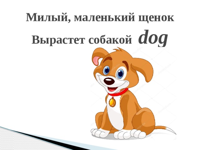 Милый, маленький щенок  Вырастет собакой dog   