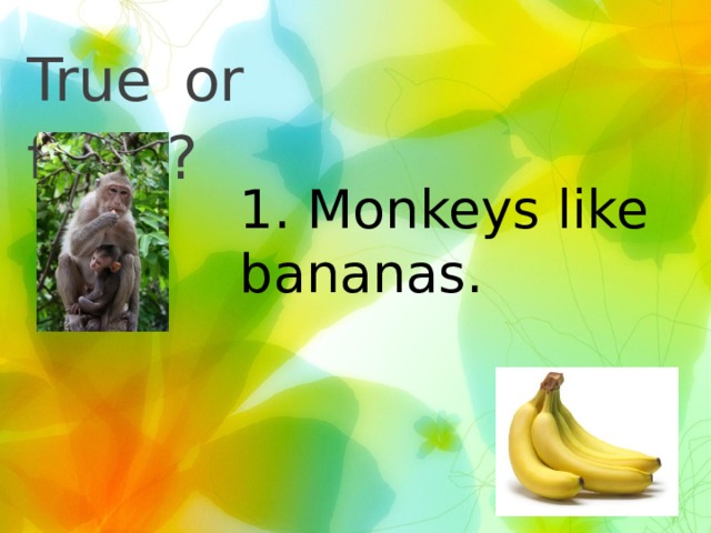 True  or false? 1. Monkeys like bananas. 