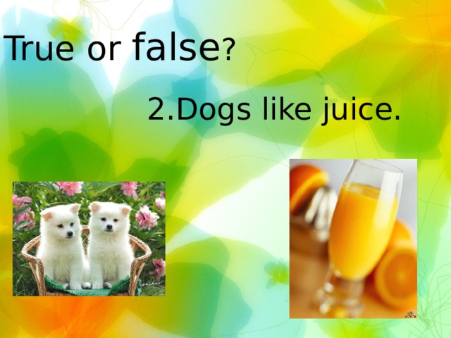 True or false ? 2.Dogs like juice. 