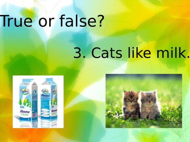 True or false? 3. Cats like milk. 