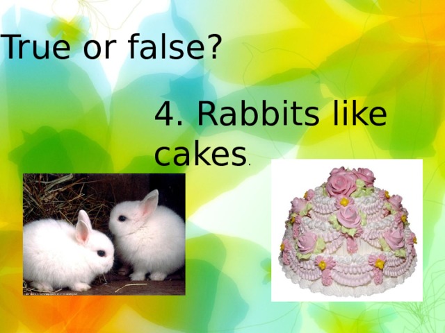 True or false? 4. Rabbits like cakes . 