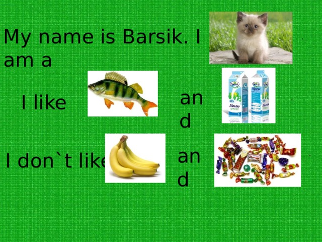 My name is Barsik. I am a . and I like . and I don`t like . 