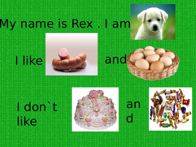 My name is Rex . I am a . and I like . and I don`t like 