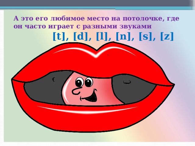 А это его любимое место на потолочке, где он часто играет с разными звуками  [t], [d], [l], [n], [s], [z] 