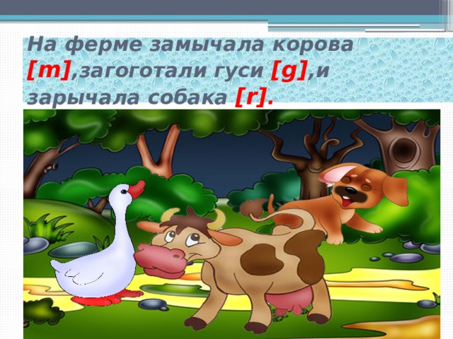На ферме замычала корова [m] ,загоготали гуси [g] ,и зарычала собака [r] . 