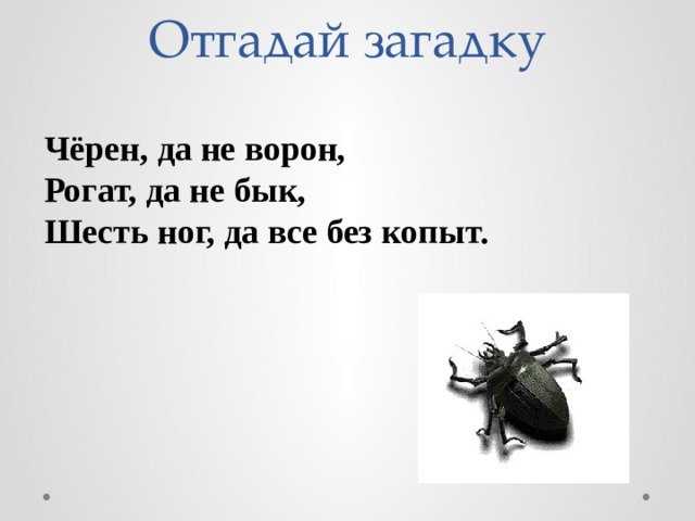 Отгадай загадку когда покупаешь черный когда