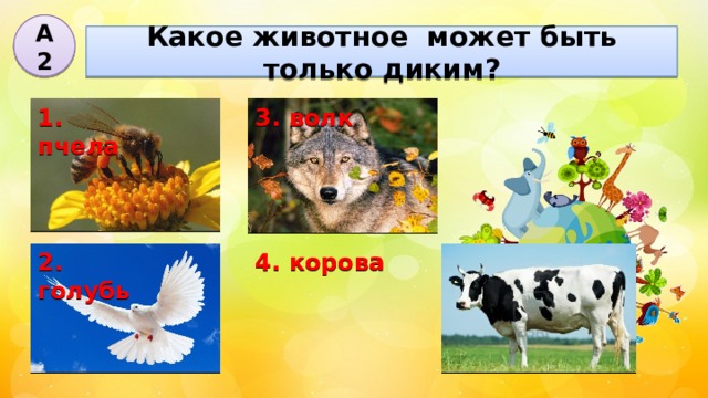 А2 Какое животное может быть только диким? 1. пчела 3. волк 2. голубь 4. корова 