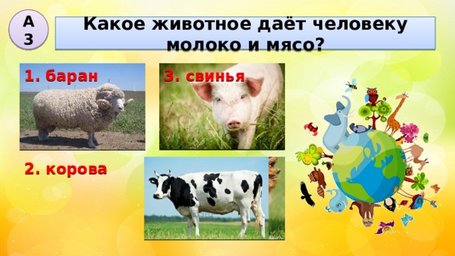 А3 Какое животное даёт человеку молоко и мясо? 1. баран 3. свинья 4. курица 2. корова 