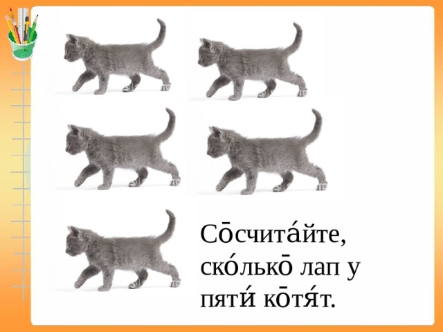 Задача про лапы. Задачи про лапы.