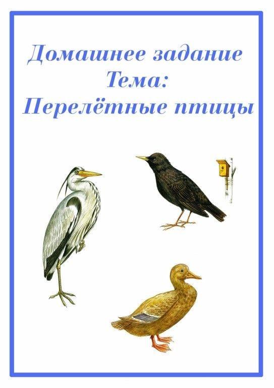 Календарный план по теме перелетные птицы в подготовительной группе