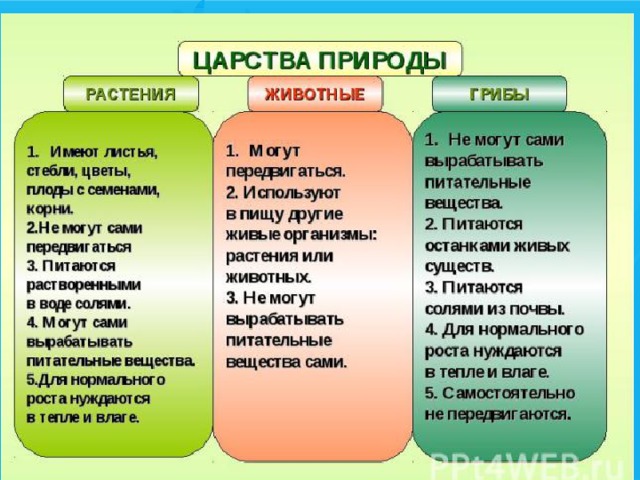 Царства живой природы 2 класс окружающий мир презентация