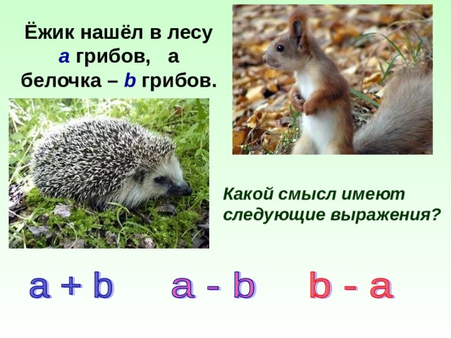 Ёжик нашёл в лесу а грибов, а белочка – b грибов. Какой смысл имеют следующие выражения? 