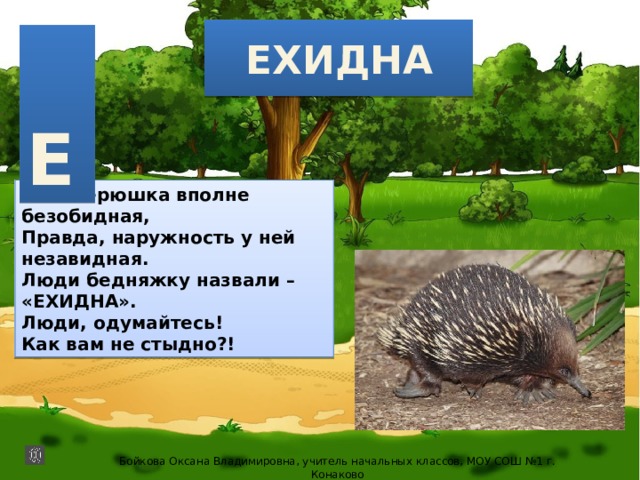 ЕХИДНА  Е Это зверюшка вполне безобидная, Правда, наружность у ней незавидная. Люди бедняжку назвали – «ЕХИДНА». Люди, одумайтесь! Как вам не стыдно?! Бойкова Оксана Владимировна, учитель начальных классов, МОУ СОШ №1 г. Конаково 