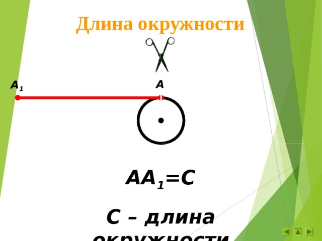 Длина окружности A A 1 AA 1 =C C – длина окружности 