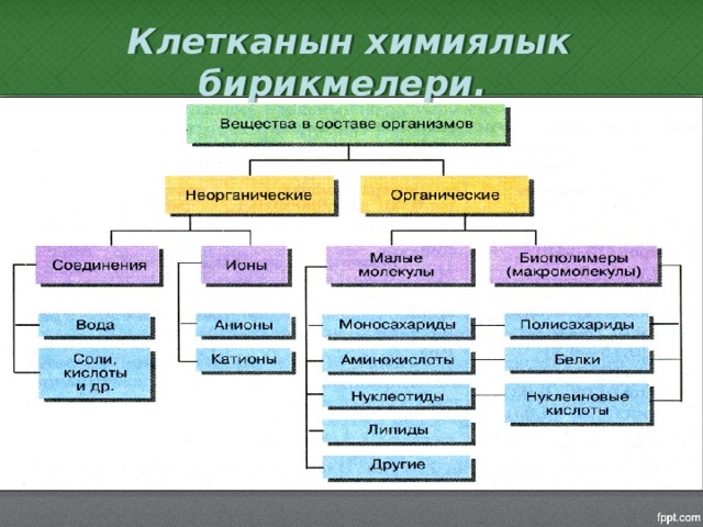 Клетканын химиялык бирикмелери. 