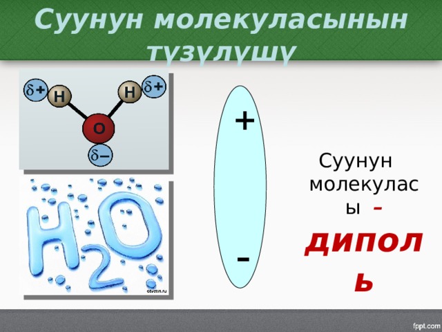 Суунун молекуласынын түзүлүшү + Суунун молекуласы – диполь – 