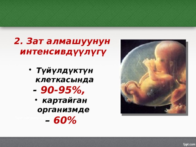  2. Зат алмашуунун интенсивдүүлүгү  Түйүлдүктүн клеткасында - 90-95%, картайган организмде – 60% 
