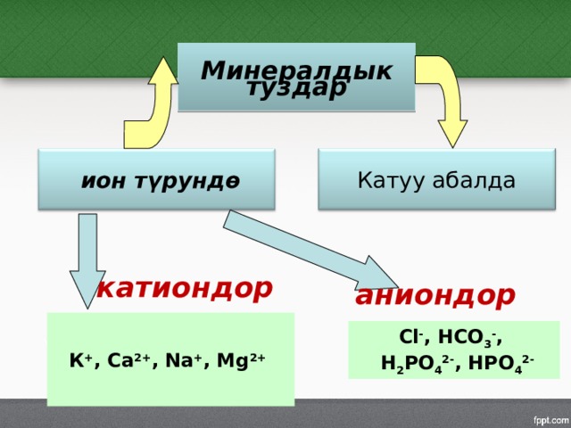 Минералдык туздар  ион түрундө Катуу абалда катиондор  аниондор  К + , Ca 2+ , Na + , Mg 2+   Сl - , HCO 3 - ,  H 2 PO 4 2- , HPO 4 2- 