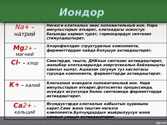 Иондор Na+ – натрий Негизги клеткалык эмес положительный ион. Нерв импульстарын өткөрөт, клеткадагы осмостук басымды кармап турат, гормондордун синтезин стимулдаштырат. Mg 2+  – магний Хлорофиллдин структуралык компоненти, ферменттердин пайда болушун активдештирет. Cl- – хлор  Сөөктөрдө, тиште, ДНКнын синтезин активдештирет, жаныбар клеткаларында энергетикалык байланышты камсыз кылат. Ашказан согунун туз кислотасы түрүндө компоненти, ферменттерди активдештирет. K+ – калий   Клетканын ичиндеги положительный ион. Нерв импульстарын өткөрөт,фотосинтез процессинде, өсүмдүк өсүүсүндө белок синтезинде ферменттерди активдештирет. Ca 2+ – кальций Өсүмдүктөрдө клеткалык кабыктын курамына кирет.Сөөк жана тиштин негизги компоненти.Булчуңдардын жыйрылуусун жана кандын уюшун активдештирет. 