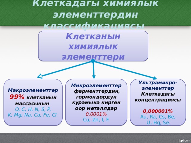 Клеткадагы химиялык элементтердин классификациясы Клетканын химиялык элементтери Макроэлементтер Микроэлементтер Ультрамикро- 99% клетканын массасынын элементтер  ферменттердин, гормондордун курамына кирген оор металлдар Клеткадагы концентрациясы 0,0001% O, C, H, N, S, P,  Cu, Zn, I, F. K, Mg, Na, Ca, Fe, Cl. 0,000001% Au, Ra, Cs, Be,  U, Hg, Se. 