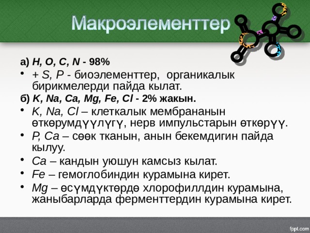 а) H, O, C, N - 98% + S, P - биоэлементтер, органикалык бирикмелерди пайда кылат. б) K, Na, Ca, Mg, Fe, Cl - 2% жакын. K, Na, Cl – клеткалык мембрананын өткөрумдүүлүгү, нерв импульстарын өткөрүү. P, Ca – сөөк тканын, анын бекемдигин пайда кылуу. Ca – кандын уюшун камсыз кылат. Fe – гемоглобиндин курамына кирет. Mg – өсүмдүктөрдө хлорофиллдин курамына, жаныбарларда ферменттердин курамына кирет. 