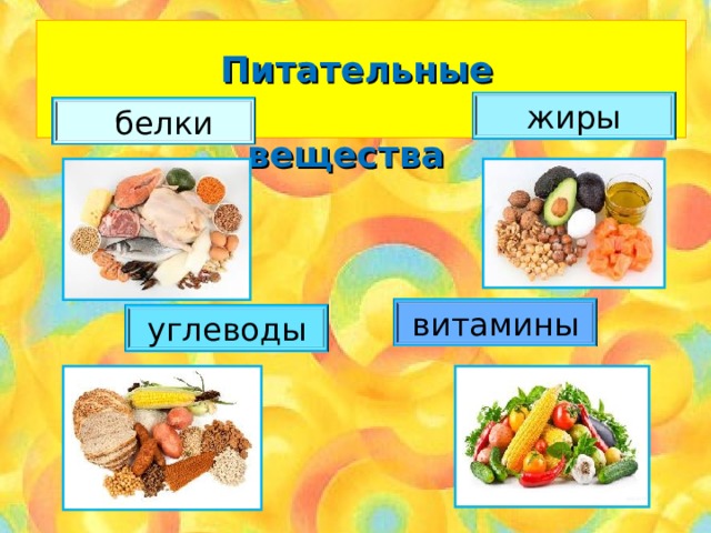 Витаминов белков углеводов в. Белки жиры углеводы витамины. Белок витамины. Белки жиры витамины. Углеводы витамины.