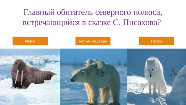 Главный обитатель северного полюса, встречающийся в сказке С. Писахова? Морж Белый медведь Песец 