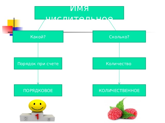 Количество и порядок. Порядок при счете. Имя числительное схема. Порядок при счете числительное. Количество порядок при счете.