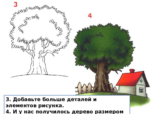 3. Добавьте больше деталей и элементов рисунка. 4. И у нас получилось дерево размером больше дома. 