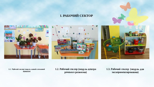 1. РАБОЧИЙ СЕКТОР 1.1. Рабочий сектор (модуль живой и неживой природы) 1.2. Рабочий сектор (модуль центра речевого развития) 1.3. Рабочий сектор (модуль для экспериментирования)  