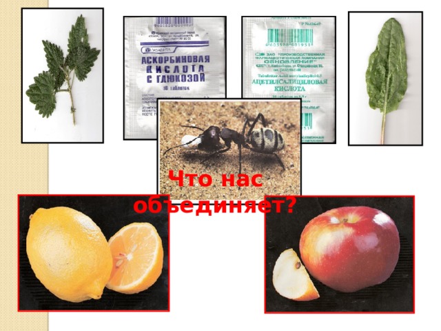 Что нас объединяет?  