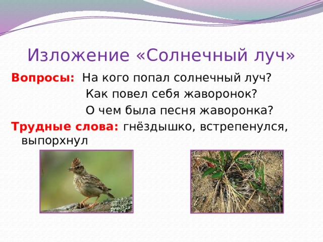 Изложение «Солнечный луч» Вопросы: На кого попал солнечный луч?  Как повел себя жаворонок?  О чем была песня жаворонка? Трудные слова: гнёздышко, встрепенулся, выпорхнул Читается текст – появляются картинки, ответы на вопросы, запись трудных слов по слогам  