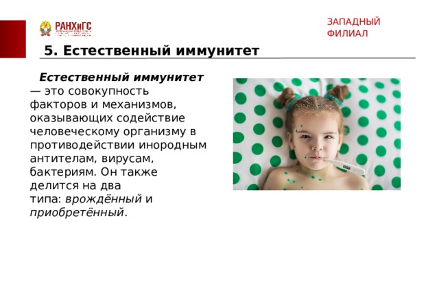ЗАПАДНЫЙ ФИЛИАЛ 5. Естественный иммунитет      Естественный иммунитет — это совокупность факторов и механизмов, оказывающих содействие человеческому организму в противодействии инородным антителам, вирусам, бактериям. Он также делится на два типа:  врождённый и приобретённый .    