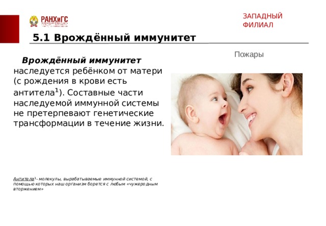 ЗАПАДНЫЙ ФИЛИАЛ 5.1 Врождённый иммунитет     Врождённый иммунитет    наследуется ребёнком от матери  (с рождения в крови есть антитела ¹ ). Составные части наследуемой иммунной системы не претерпевают генетические трансформации в течение жизни.      Антитела ¹ - молекулы, вырабатываемые иммунной системой, с помощью которых наш организм борется с любым «чужеродным вторжением»    