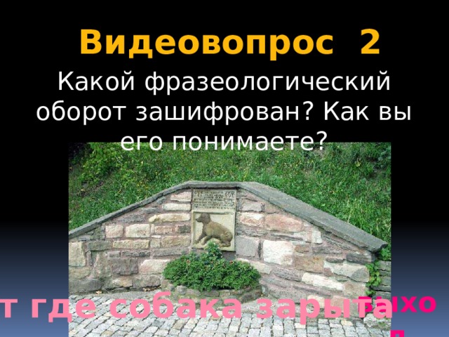 Видеовопрос 2  Какой фразеологический оборот зашифрован? Как вы его понимаете? выход Вот где собака зарыта