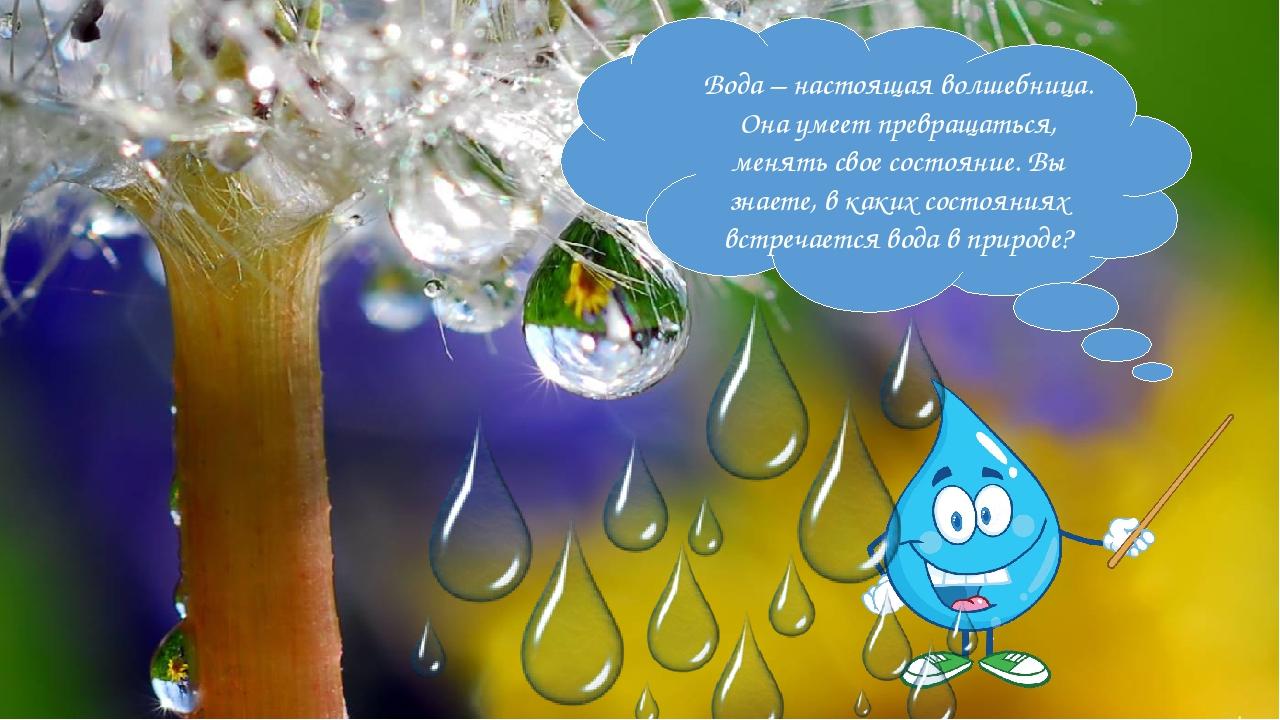 День воды презентация