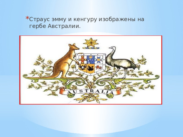 Страус эмму и кенгуру изображены на гербе Австралии. 
