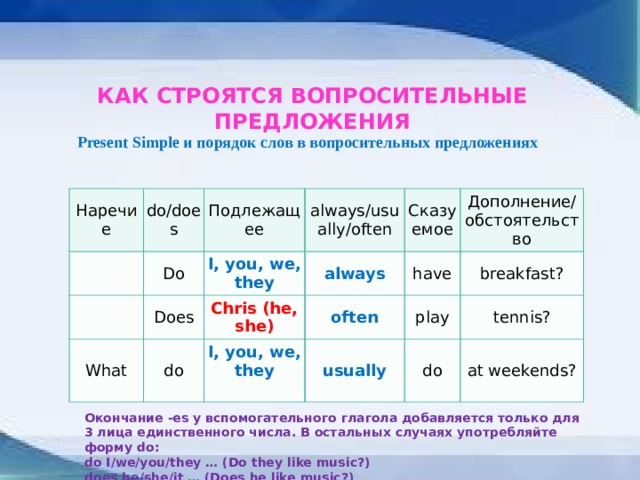 Какие бывают вопросительные предложения