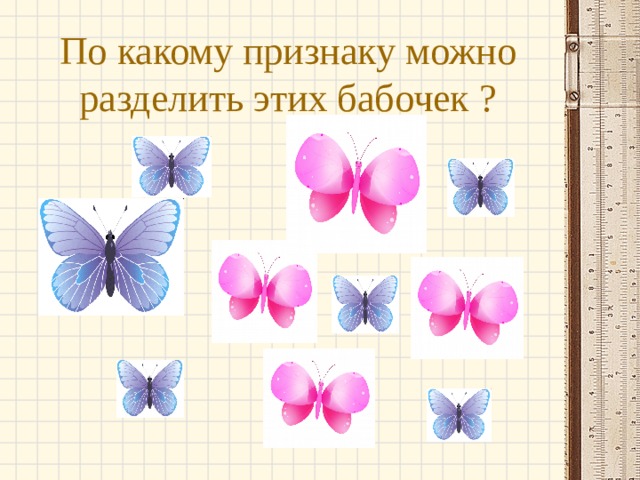 По какому признаку можно разделить этих бабочек ? 